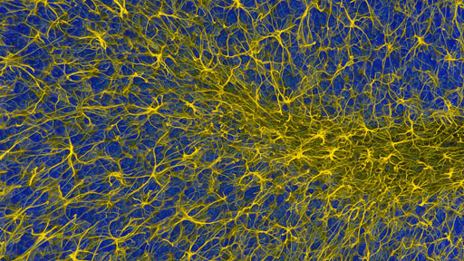 glia