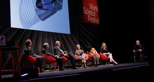 Panel